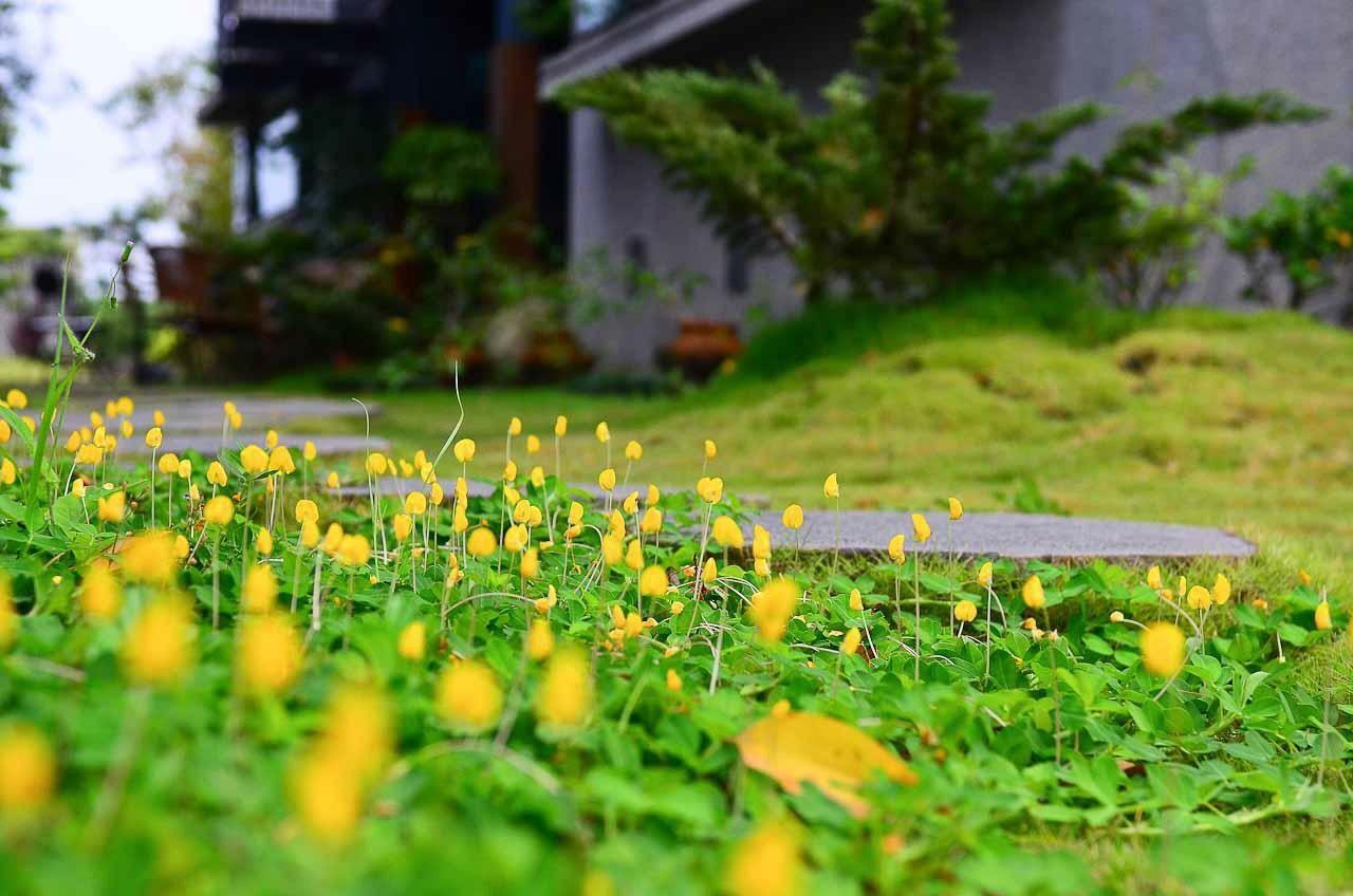 Apartamento 建築師 湧泉 泡湯 會館 Dongshan  Exterior foto